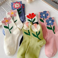 Variety (5-Pack All Colors)